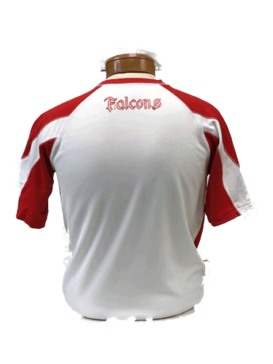 Falcons Dri Fit T-Shirt