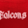 North Catholic Falcons