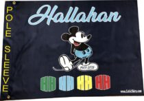 Hallahan beach flag
